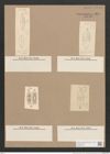 Navicula fuscula Ehr. (de-Toni-Nr.: Genus 1, Species 395) Zeichnungen Sammlung Grunow Nr. 879 (NHMW-BOT-W0367335)